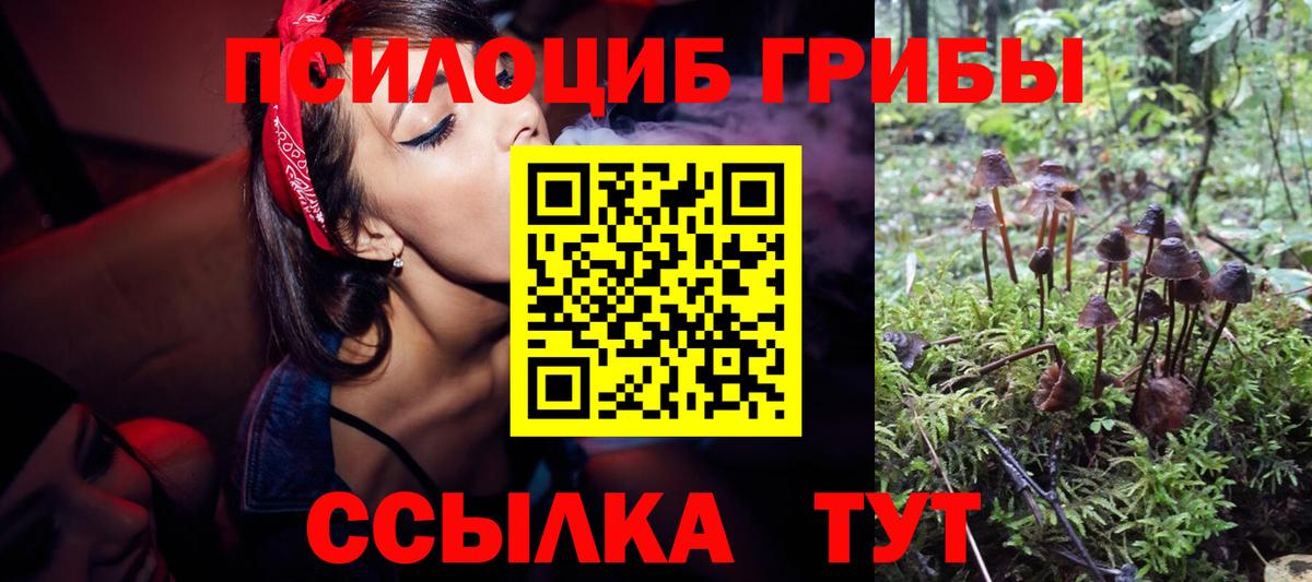 Псилоцибиновые грибы Psilocybe  Вход с VPN  Петропавловск-Камчатский 