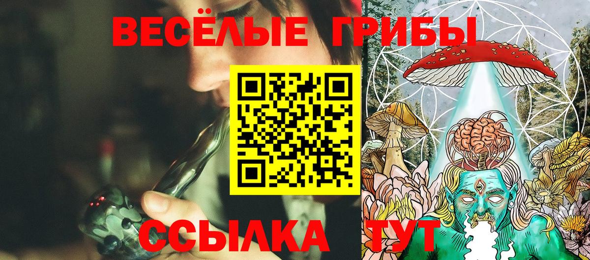 Галлюциногенные грибы мицелий Петропавловск-Камчатский